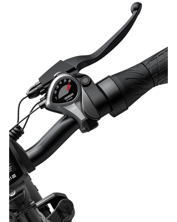 ENGWE EP-2 PRO 750W elektrinis dviratis Fat bike