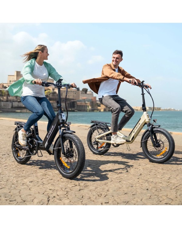 ENGWE L20 3.0 Boost elektrinis dviratis