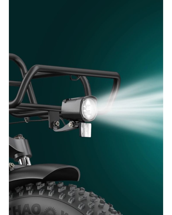 ENGWE L20 Boost elektrinis dviratis