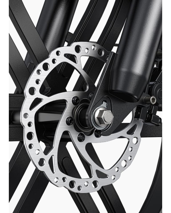 ENGWE L20 Boost elektrinis dviratis