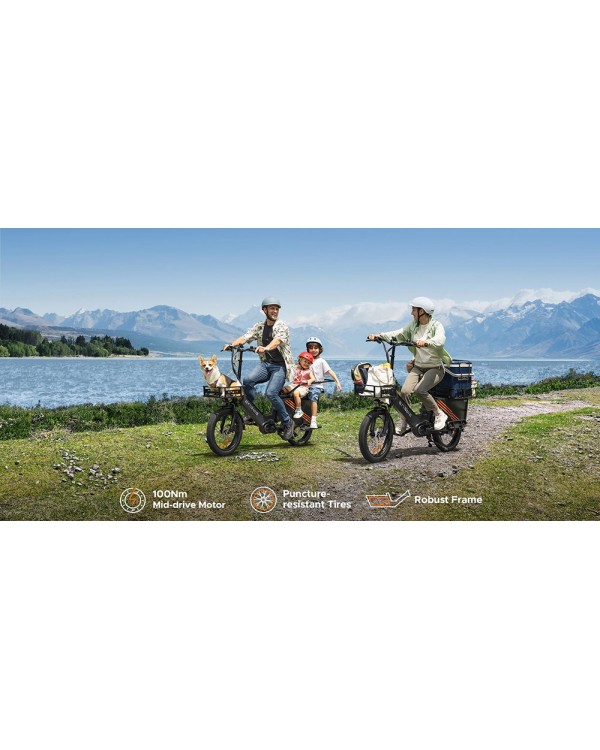 ENGWE LE20 Cargo elektrinis dviratis