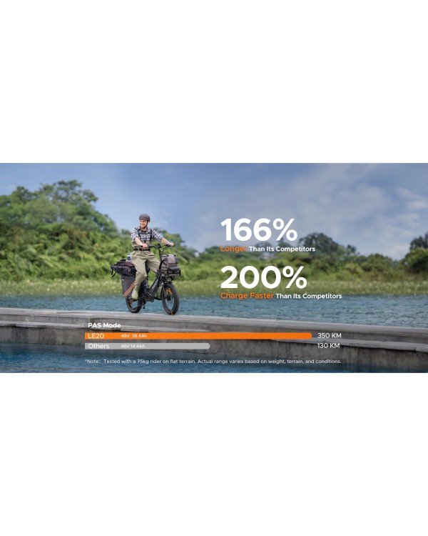 ENGWE LE20 Cargo elektrinis dviratis