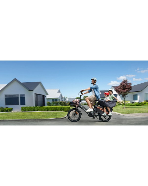 ENGWE LE20 Cargo elektrinis dviratis