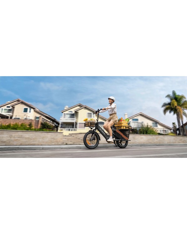 ENGWE LE20 Cargo elektrinis dviratis