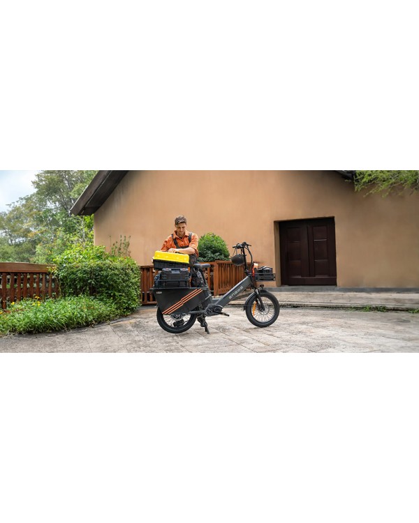 ENGWE LE20 Cargo elektrinis dviratis