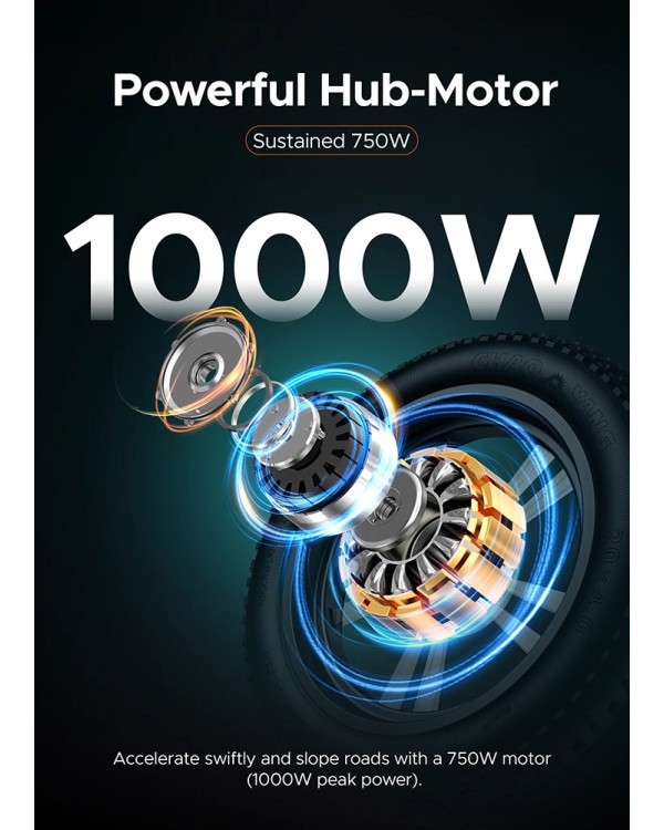 ENGWE M20 elektrinis dviratis