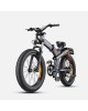 ENGWE X24 1000W 19.2+10Ah elektrinis dviratis