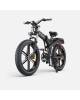 ENGWE X26 1000W 19.2+10Ah elektrinis dviratis