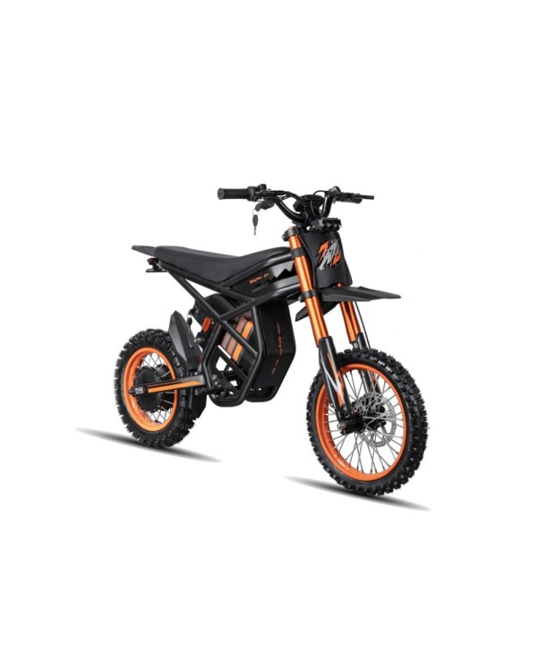GT54 elektrinis dviratis off-road dirt bike