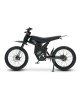 GT73 elektrinis dviratis off-road dirt bike