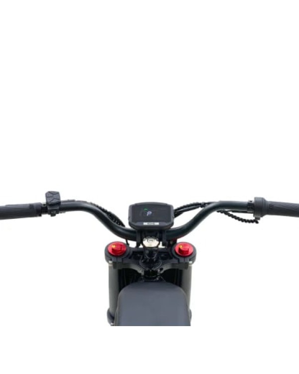 GT73 elektrinis dviratis off-road dirt bike