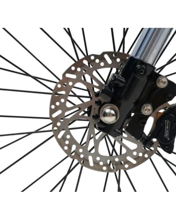 GT73 elektrinis dviratis off-road dirt bike