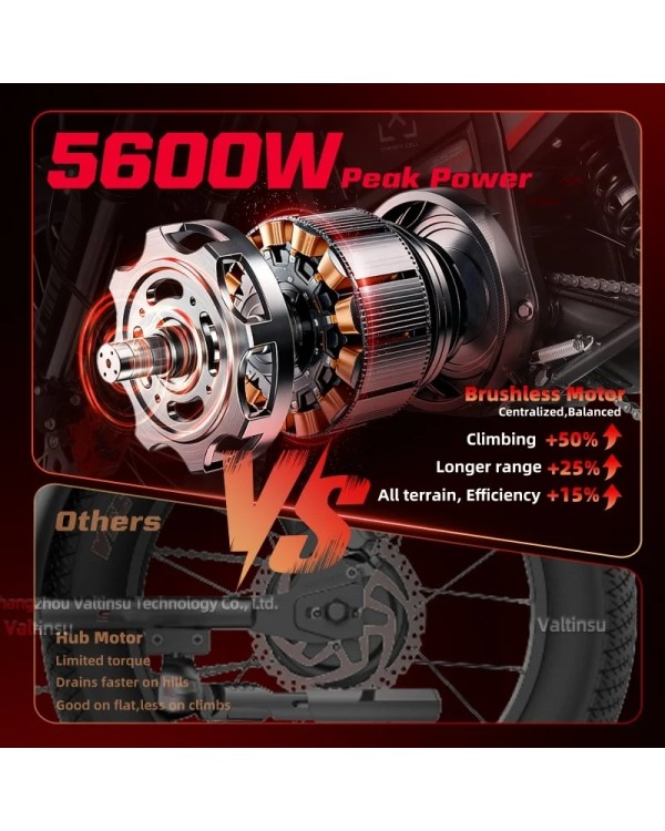 Valtinsu EM5 PRO elektrinis dviratis off-road dirt bike