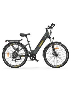 ELEGLIDE T1 ST elektrinis dviratis pilkas