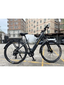 ELEGLIDE T1 ST elektrinis dviratis pilkas