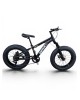 Vaikiškas fatbike dviratis GTR Juodas 20'