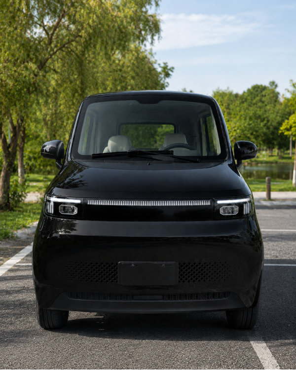 Elektrinis mini automobilis M5 4KW