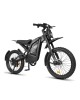 GT2000 elektrinis dviratis off-road dirt bike
