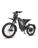 GT2000 elektrinis dviratis off-road dirt bike