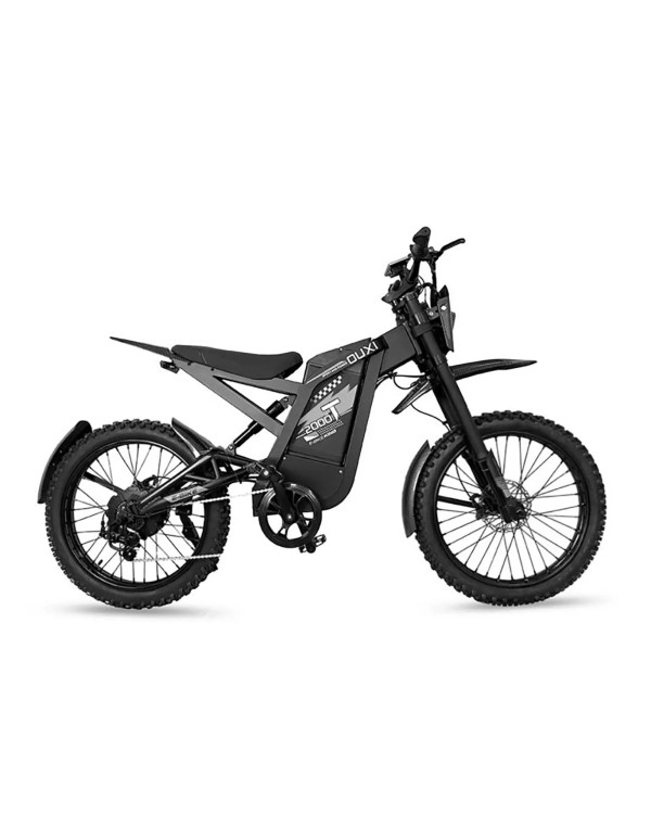 GT2000 elektrinis dviratis off-road dirt bike