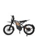 GT2000 elektrinis dviratis off-road dirt bike