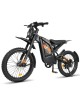 GT2000 elektrinis dviratis off-road dirt bike