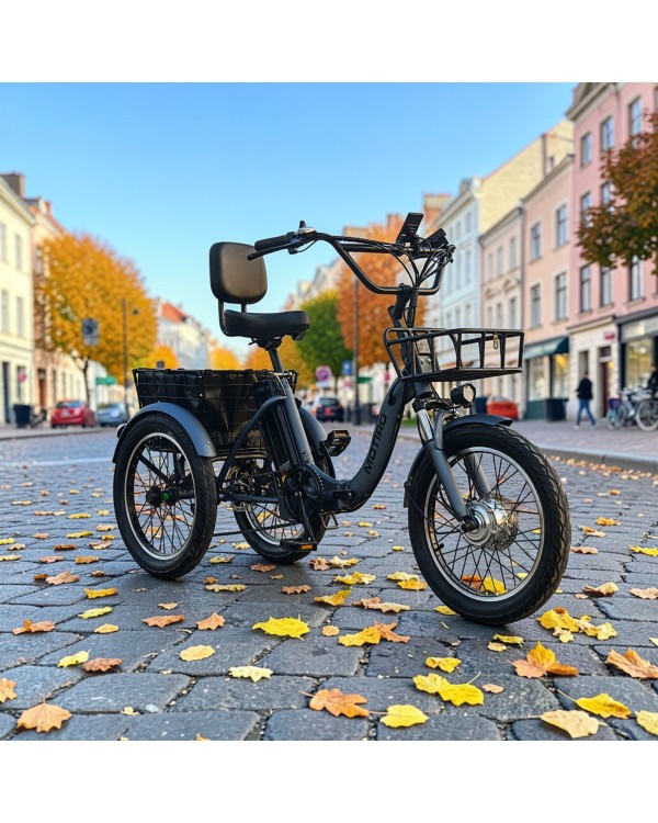 Triratis elektrinis dviratis Motiro "M19" 