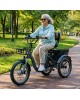 Triratis elektrinis dviratis Motiro "M19" 