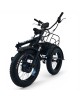 Triratis elektrinis dviratis Motiro "M22" 