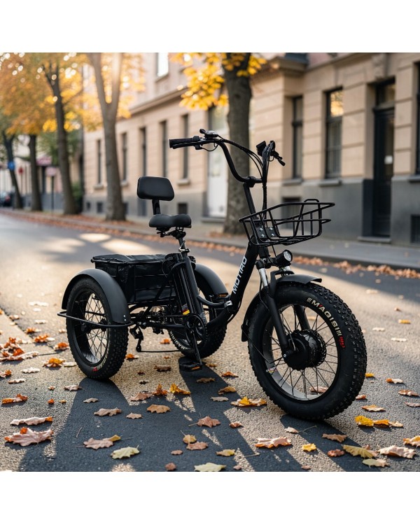 Triratis elektrinis dviratis Motiro "M22" 