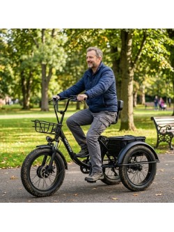 Triratis elektrinis dviratis Motiro "M22" 