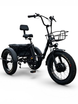 Triratis elektrinis dviratis Motiro "M22" 