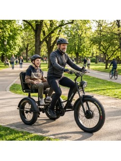 Triratis elektrinis dviratis Motiro "M29"