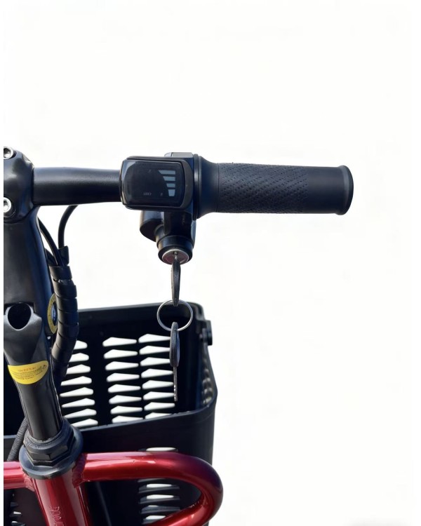 Elektrinis sulankstomas triratis skuteris S5 Pro