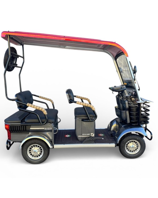 Elektrinis keturratis su stogu N6