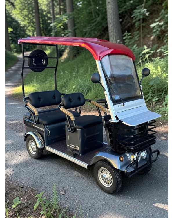 Elektrinis keturratis su stogu N6