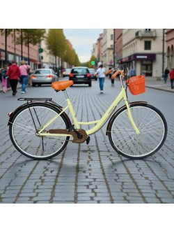 Moteriškas dviratis LL-01