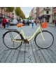 Moteriškas dviratis LL-01