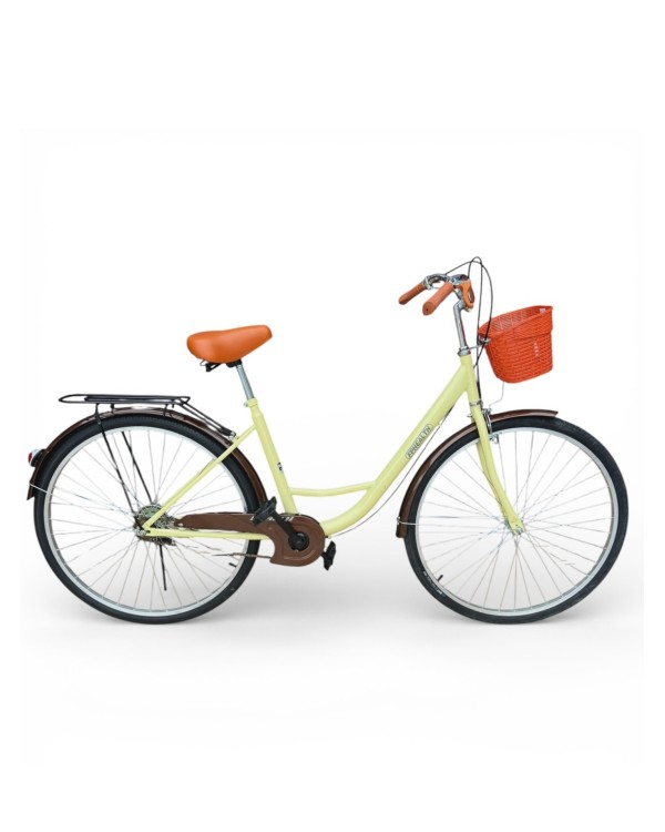 Moteriškas dviratis LL-01