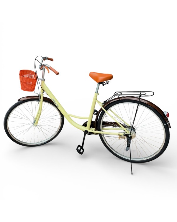 Moteriškas dviratis LL-01