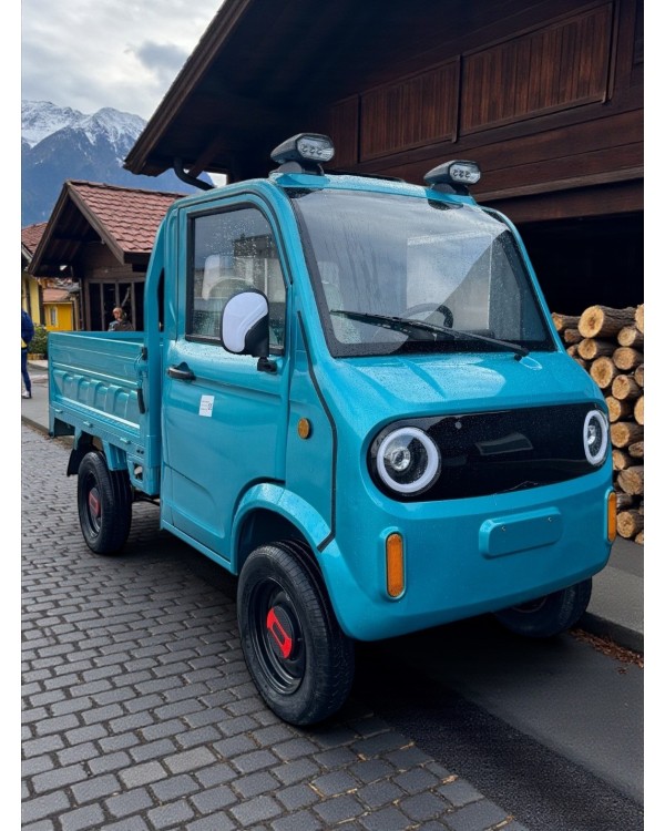 Elektrinis krovininis keturratis motoroleris FL-10 