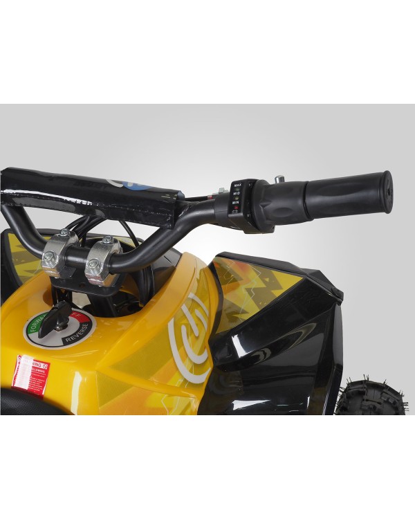 Vaikiškas Mini Elektrinis Keturratis 1000W 48V varikliu (4-8 metai)