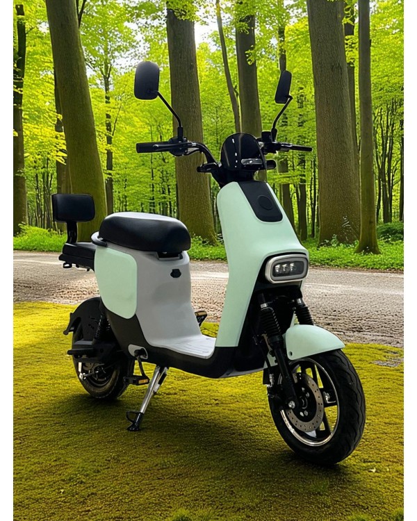 Elektrinis dviratis motoroleris LL-07 