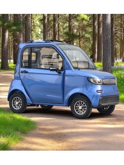 Elektrinis keturratis mini automobilis FL-09 1Kw 58AH 60v (IŠPARDUOTA, PAPILDYMAS 07.15)