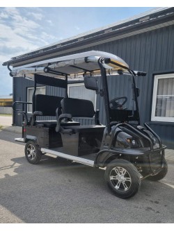 Elektrinis šešiavietis keturratis motoroleris su stogu FL-06  (Ekspozicinis)