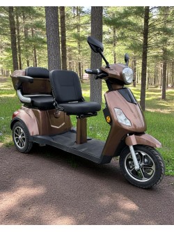 Elektrinis keleivinis triratis motoroleris SL-02L 
