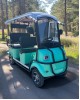 Elektrinis šešiavietis keturratis motoroleris su stogu FL-06-7