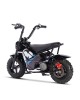 Mini 250W 24V elektrinis motociklas 