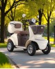 Elektrinis keturratis motoroleris skuteris LUNAR-Q EEC