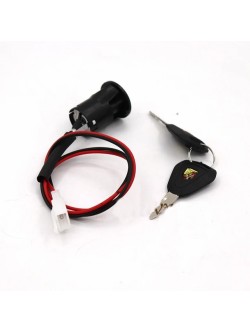 Citycoco elektrinio motorolerio spynele